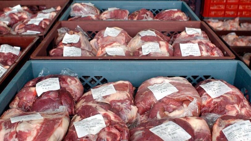 Qué dice la resolución que oficializa la suspensión de las exportaciones de carne