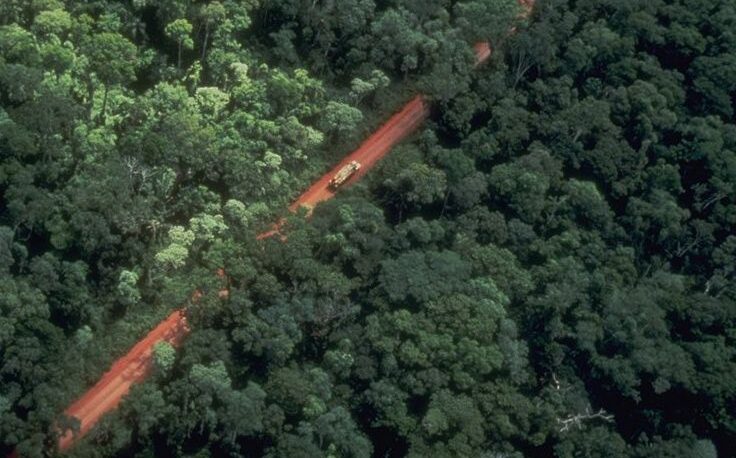 Misiones adhirió a la declaración de Nueva York sobre los bosques