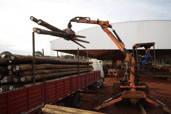 Éxodo maderero: “No compramos madera en Misiones por los impuestos”