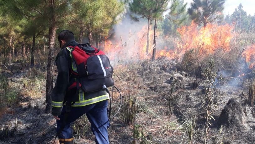 Se incendiaron cinco hectáreas en Santa Ana