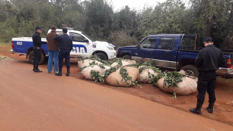 Secuestran más de 1000 kg de yerba mate robada y detienen a 5 personas