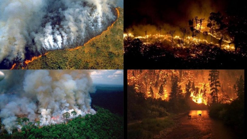 #PrayforAmazonia: el hashtag que viralizó el problema de los incendios