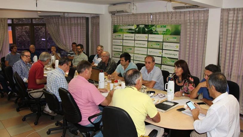 Yerba: los productores pedirán un piso de $23 para el kilo de hoja verde