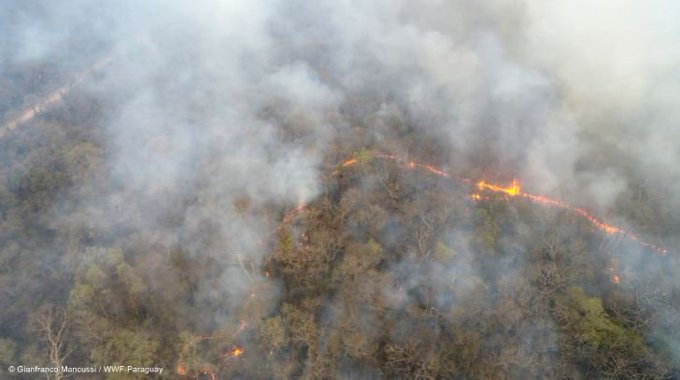 Por el clima, ya son 175 mil las hectáreas quemadas en el Chaco paraguayo