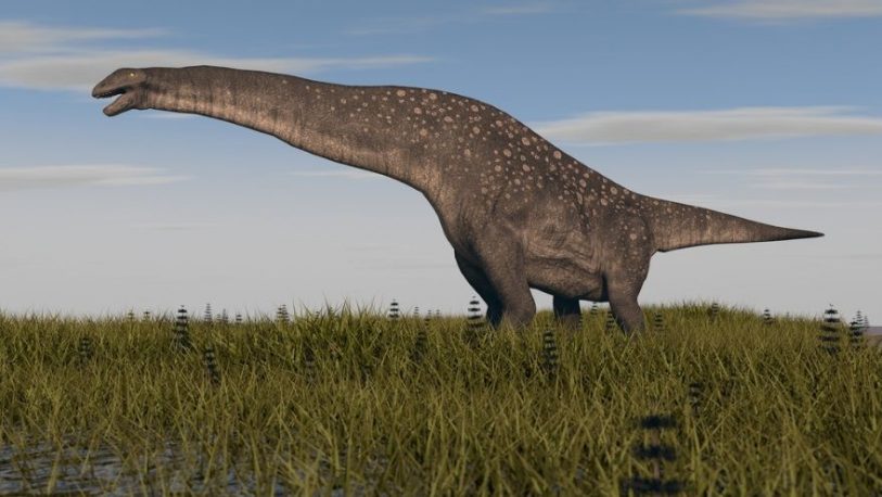 Reconocieron “un nuevo linaje” de dinosaurios gigantes en la Argentina