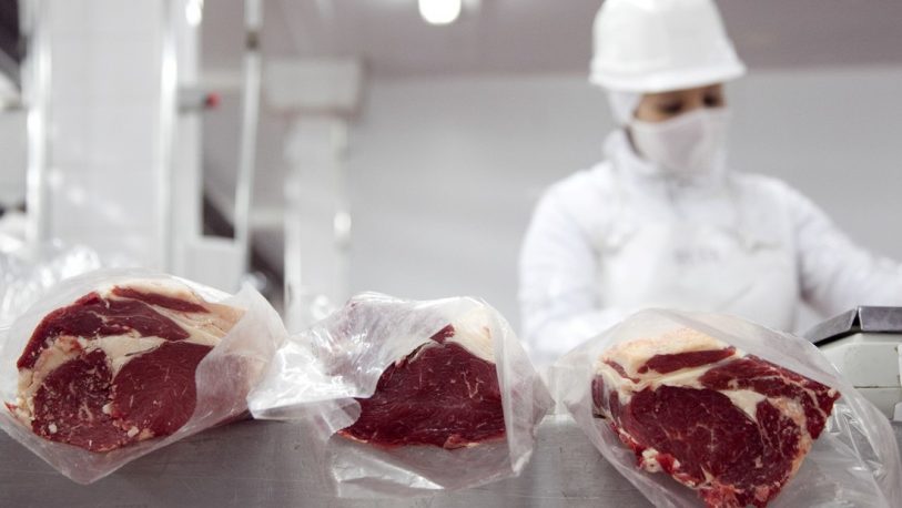 Las exportaciones de carne tuvieron una nueva caída