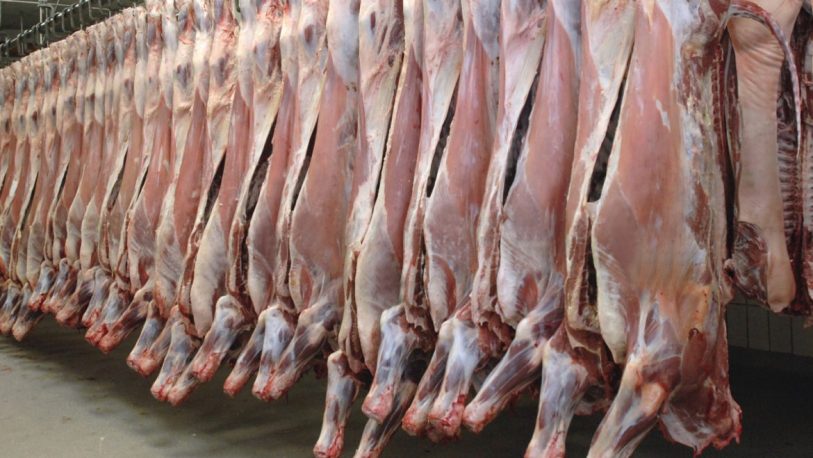 Las exportaciones de carne alcanzaron su mayor registro desde 2005