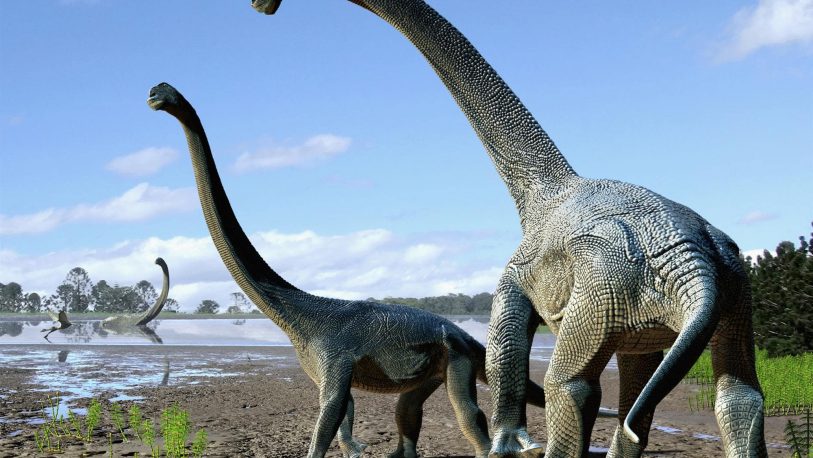Neuquén: hallan restos fósiles de un Titanosaurio de 85 millones de años