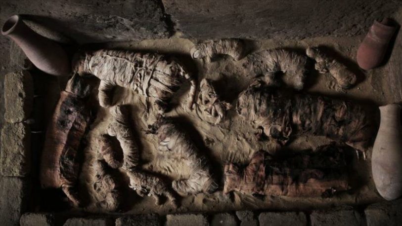Descubren en Egipto una colección de animales momificados de 2.700 años de antigüedad