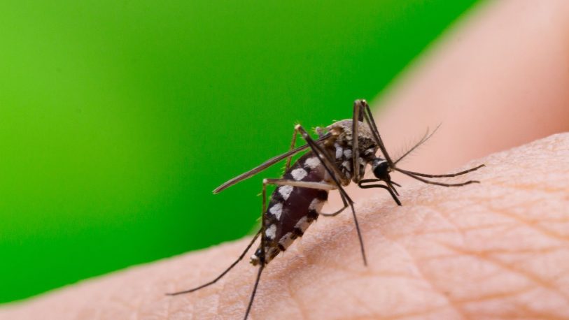 Un hombre murió por dengue en Corrientes