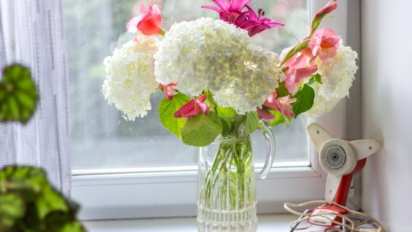 Conocé los beneficios de tener flores en el hogar y el trabajo