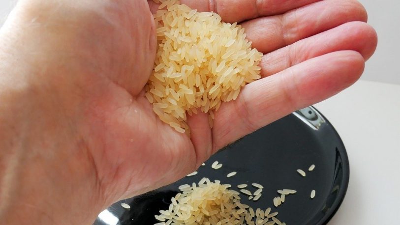Corrientes: crean producto con desechos de arroz que hasta el momento era importado