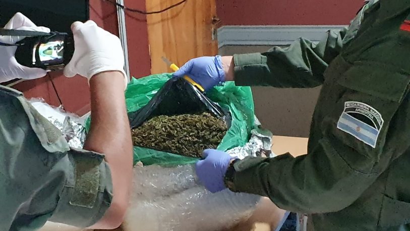 Descubren 18 kilos de marihuana en una narco encomienda