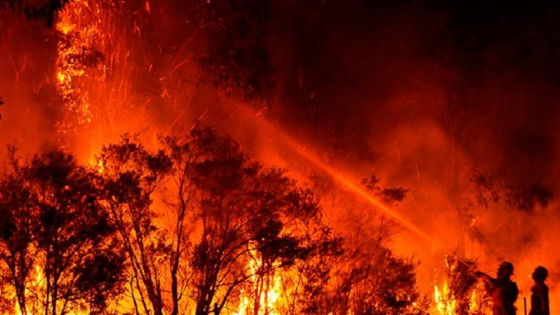 La lluvia ayudó a calmar los incendios en Australia