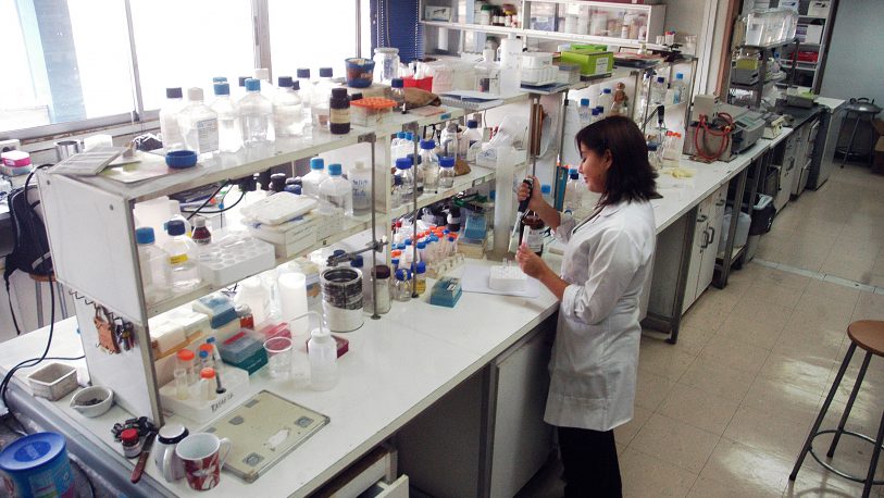 Dengue: Científicos argentinos desarrollan un test de rápida detección