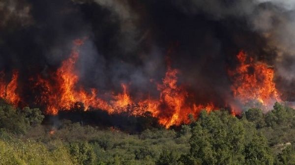 Chile: Más de 9 mil hectáreas fueron consumidas por incendios