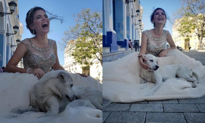 Quinceañera se tomaba fotos, apareció un perro callejero y las imágenes se hicieron virales