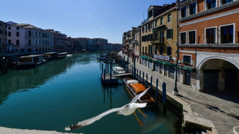 Sorprendente: Las aguas de Venecia están más limpias y claras