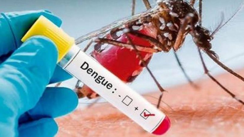 Dengue: hay más de 3 mil casos en estudio en Misiones