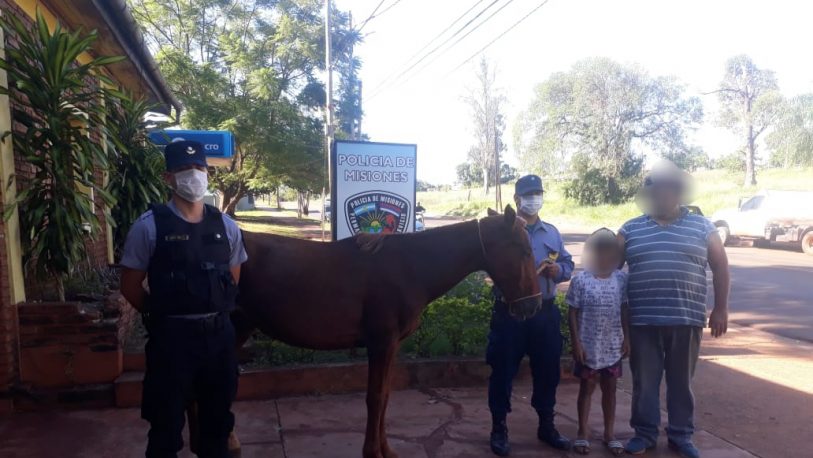 Detuvieron a un joven por robar y vender un caballo