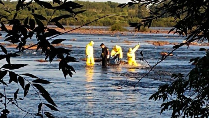 Hallaron un cuerpo en el río Uruguay