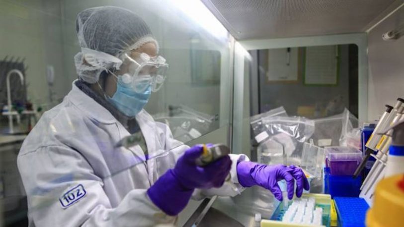 China probó con éxito en monos una vacuna que mata el coronavirus