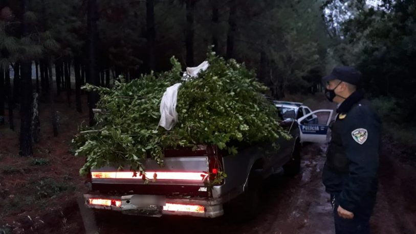 Recuperaron 600 kilos de yerba robada en Gobernador López
