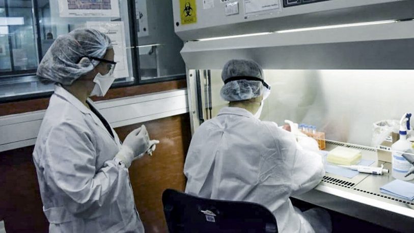 Coronavirus: descubren una nueva cepa e investigan si es una variante de riesgo