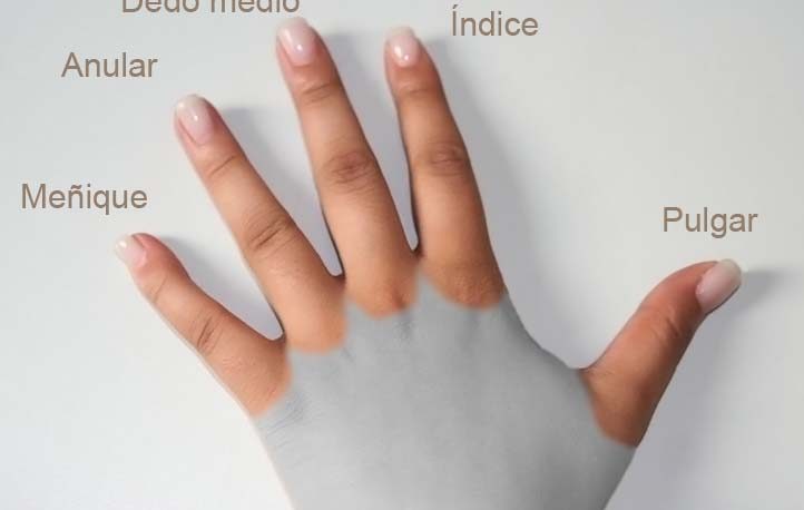 ¿Cómo es tu dedo anular?: El test que puede determinar cómo es tu personalidad