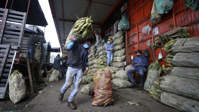 Pandemia: América Latina pierde 47 millones de empleos