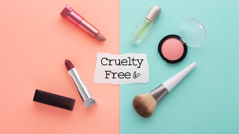 Distintas campañas buscan terminar con las pruebas en animales para cosméticos