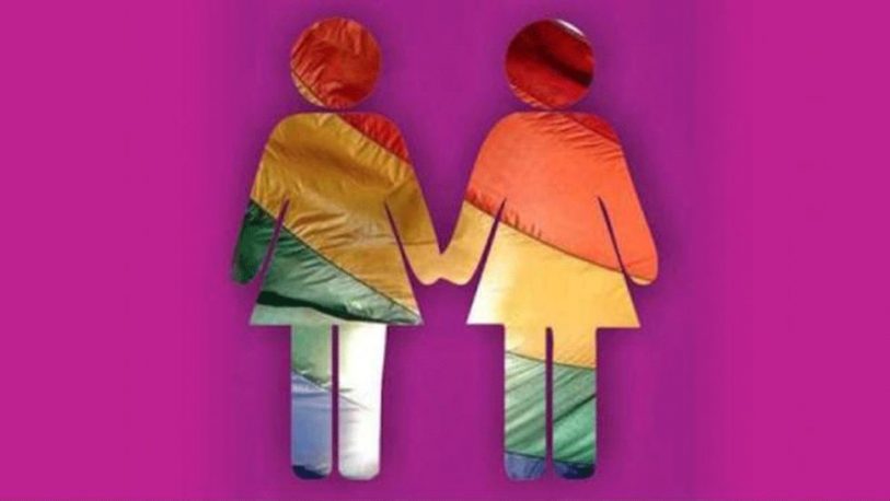 Proponen declarar el 7 de marzo “Día de la Visibilidad Lésbica”