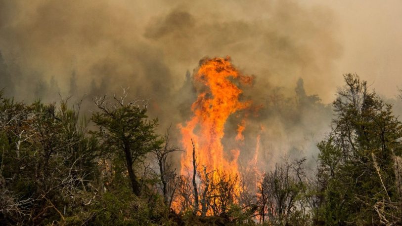 El desesperante mapa que muestra todos los incendios forestales del 2020 en la Argentina