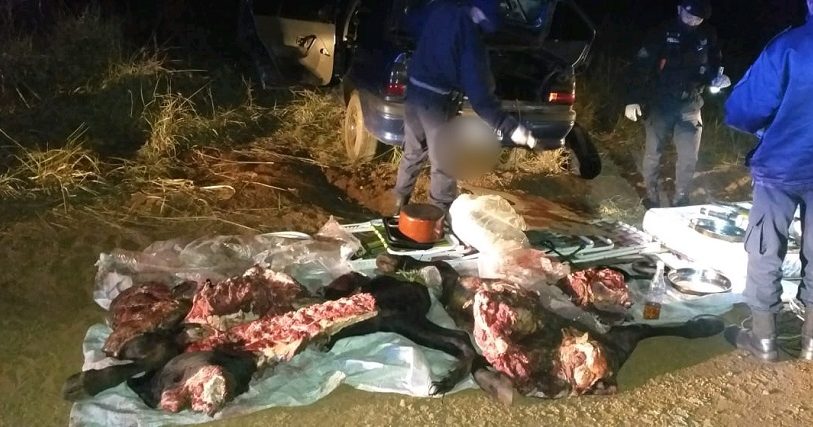 Detuvieron a dos hombres armados y secuestraron carne faenada