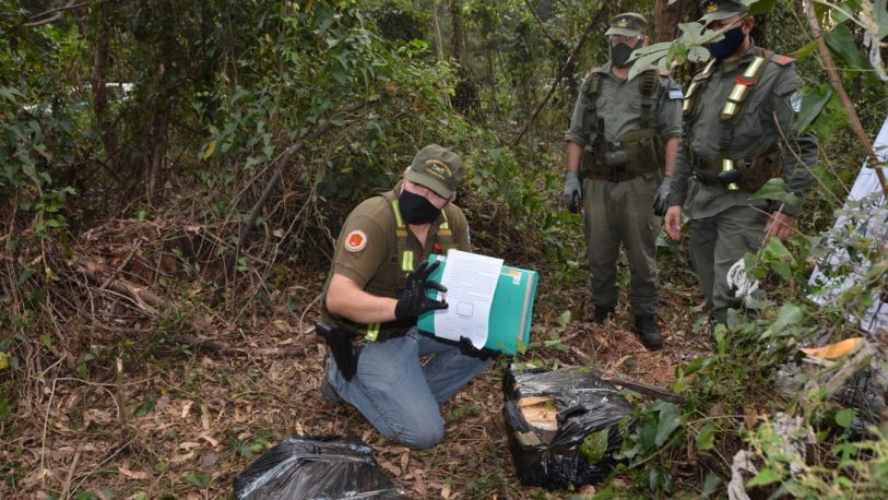 Hallan 228 kilos de marihuana abandonados en la selva misionera