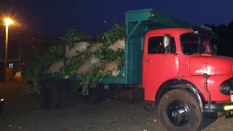 Incautaron más de dos toneladas de yerba mate en Santiago de Liniers