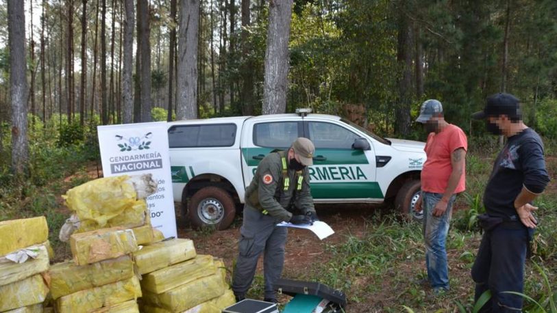 Secuestraron más de 2.600 kilos de marihuana en el norte de Misiones