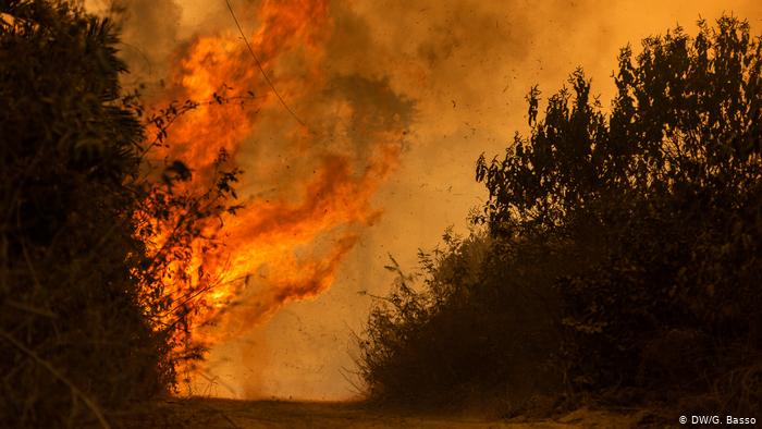 Gobierno brasileño envía misión para combatir incendios en el Pantanal