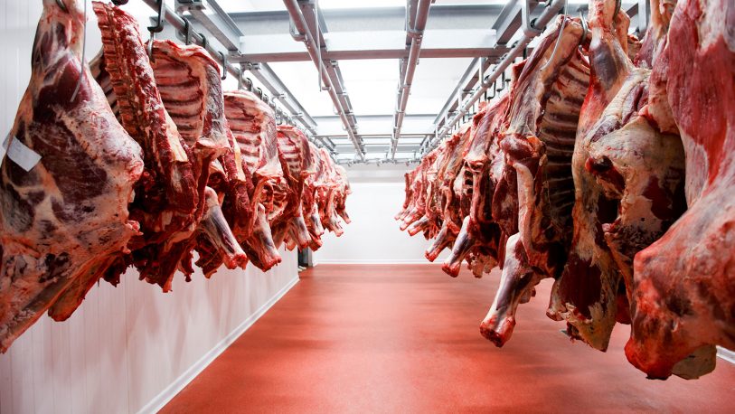 Por las restricciones a las exportaciones de carne, Argentina pierde 100 millones de dólares mensuales