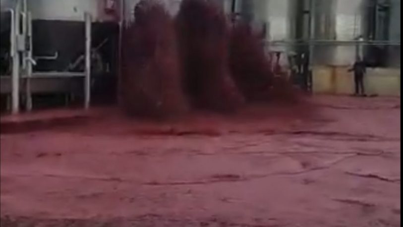 Más de 50.000 litros de vino “inundaron” una bodega tras dañarse un depósito