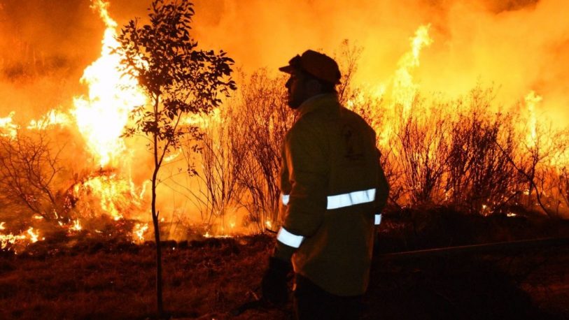 Argentina en llamas: los incendios afectan a 14 provincias