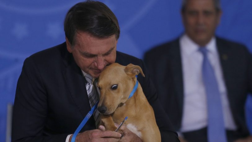 Jair Bolsonaro firmó una ley contra el maltrato animal junto a un perro