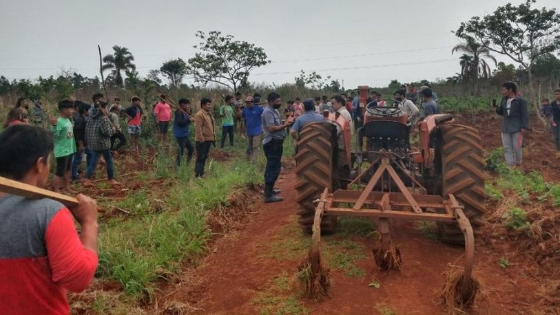 Denuncian destrucción de sembradíos en comunidad mbya de Ruiz de Montoya