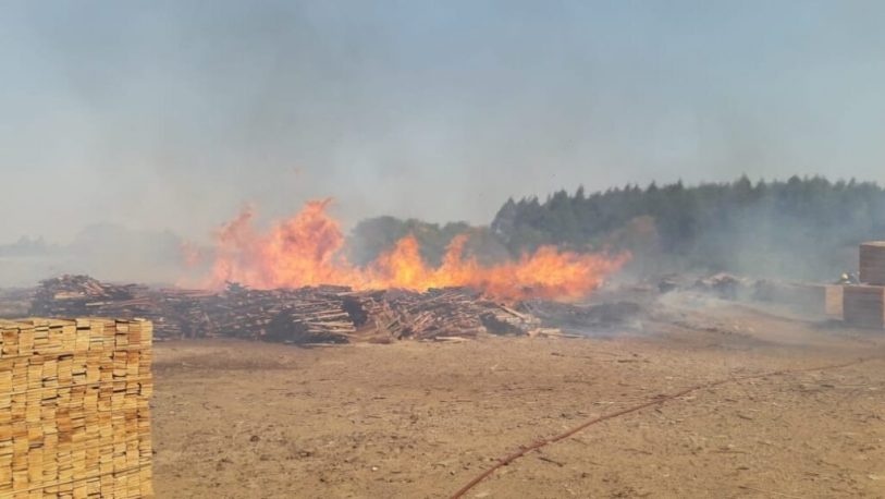 Corrientes declaró Estado de Emergencia Agropecuaria por sequía e incendios