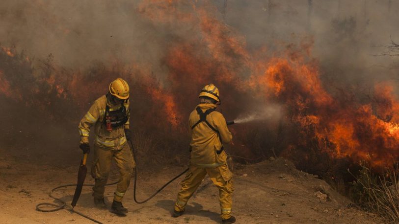 Las consecuencias de los incendios forestales y la importancia de prevenirlos