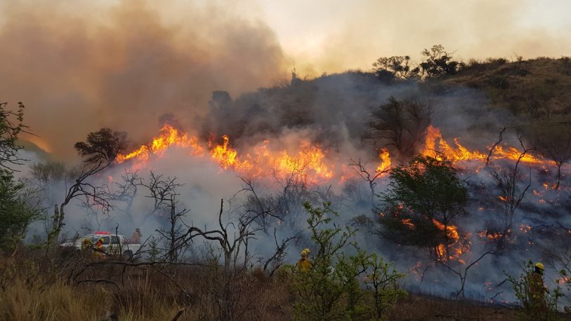Incendios forestales: Hay siete provincias afectadas