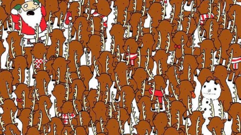 Reto viral: encontrar el oso escondido