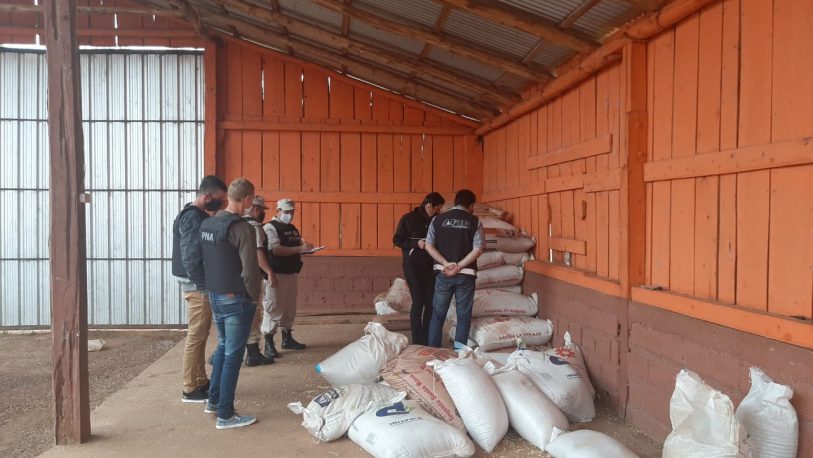Secuestraron más de seis toneladas de semillas de soja en Alba Posse