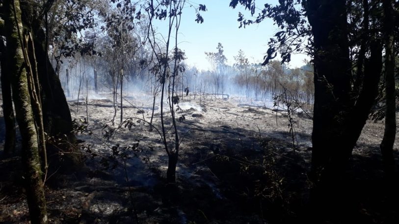 Bomberos fueron agredidos a piedrazos mientras apagaban un incendio en Oberá