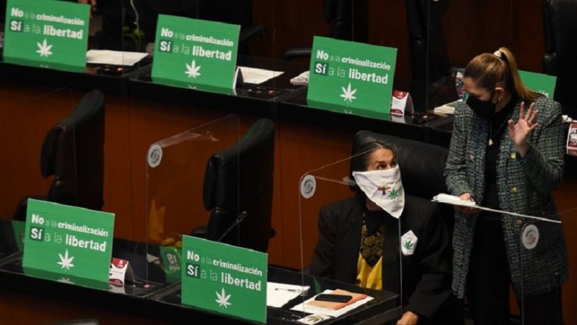 México aprobó la regulación y despenalización del uso lúdico de la marihuana